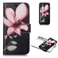 2в1 захисний знімальний чохол фліп для Apple iPhone XS / iPhone X - магнолії